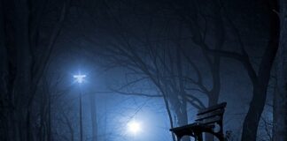 Czy polski urząd skarbowy informuje niemiecki?