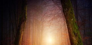 O co pyta estetyka? O co pyta estetyka?