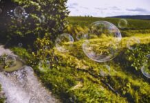 Czy warto uczyć się Blendera?