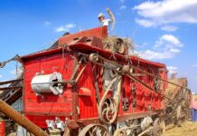 Jakich zawodów nie zastąpi AI?