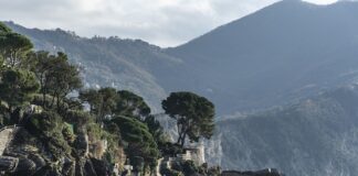 Ile kosztuje wyprodukowanie aplikacji?