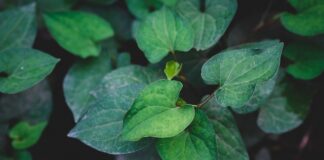 Jakie gry polecacie dla 6 latka?