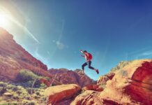 Co wchodzi w skład Krajowych Ram Interoperacyjności?