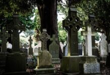 Co zamiast Good Night?