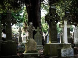 Co zamiast Good Night?