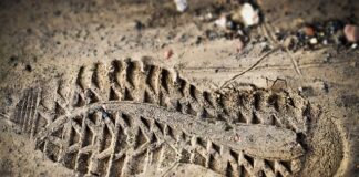 Z czego nie składa się ocena zgodności?