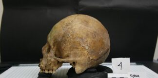 Po co nam antropologia? Po co nam antropologia?