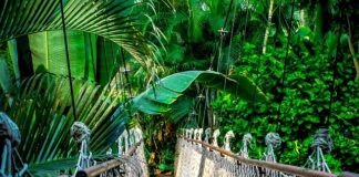 Ile kosztuje kurs na animatora?