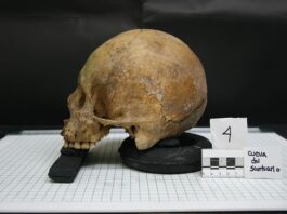 Na jakie pytania odpowiada antropologia? Na jakie pytania odpowiada antropologia?