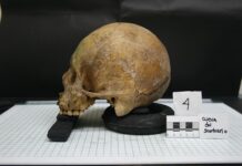 Czym zajmuje się antropologia? Czym zajmuje się antropologia?