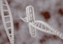 Kiedy powstało CGI?