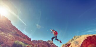 Kogo obowiązują Krajowe Ramy Interoperacyjności? Kogo obowiązują Krajowe Ramy Interoperacyjności?