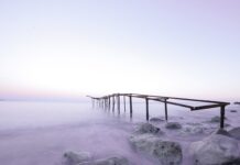 Jakie poglądy miał Platon? Jakie poglądy miał Platon?