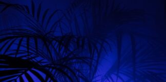 Co to znaczy Serial animowany? Co to znaczy Serial animowany?