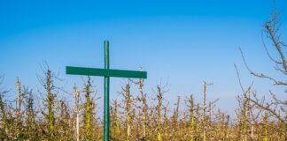 Czy musi być regulamin pracy zdalnej? Czy musi być regulamin pracy zdalnej?