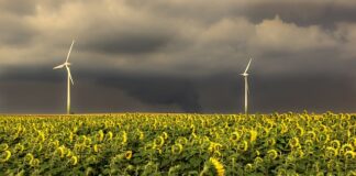 W jakiej kolejności należy wykonywać testy?