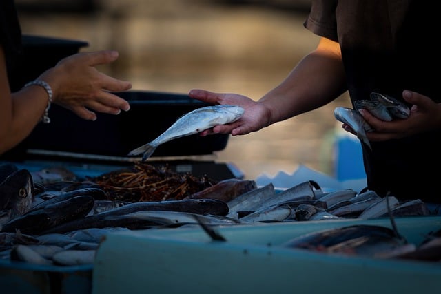Co można sprzedawać w internecie bez działalności gospodarczej? Co można sprzedawać w internecie bez działalności gospodarczej?