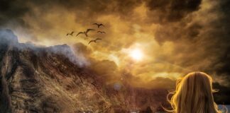 Co jest najważniejsze w życiu? Co jest najważniejsze w życiu?