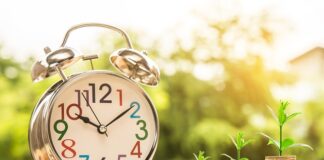 Kto zarządza forum internetowym krzyżówka?