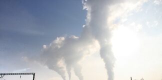 Jakie są branżę w Polsce? Jakie są branżę w Polsce?