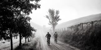 Co to jest reklama wizualna?