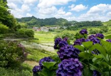 Czy tabata jest dla początkujących?