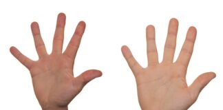 Ile godzin lekcyjnych jest w 1 liceum? Ile godzin lekcyjnych jest w 1 liceum?