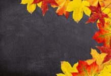 Skąd wziąć pieniądze na rozpoczęcie działalności gospodarczej?