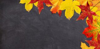 Skąd wziąć pieniądze na rozpoczęcie działalności gospodarczej?