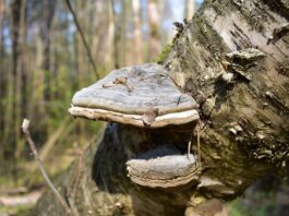 Co lepsze od Tindera?