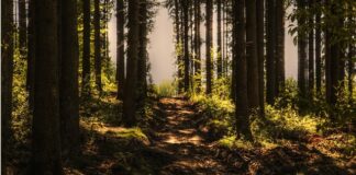 Czy ktoś widzi że nagrywam ekran?