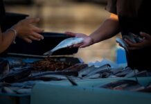 Co sprzedawać Online 2023?