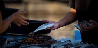 Co sprzedawać Online 2023? Co sprzedawać Online 2023?