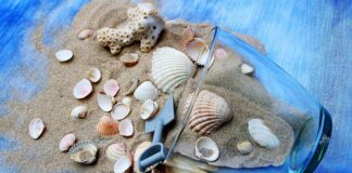 Ile razy w tygodniu ćwiczyć zumbę?