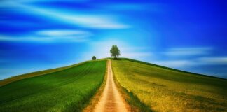 Co daje chodzenie na fitness?