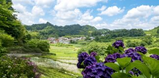 Czy tabata to trening cardio? Czy tabata to trening cardio?