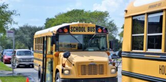 Czy pedagog szkolny może chodzić na zastępstwa? Czy pedagog szkolny może chodzić na zastępstwa?