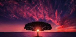 Co zamiast Zoom? Co zamiast Zoom?