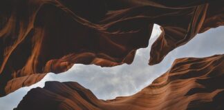 Jakie są formy prowadzenia działalności gospodarczej?