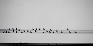 Co powinno zawierać podsumowanie biznesplanu? Co powinno zawierać podsumowanie biznesplanu?